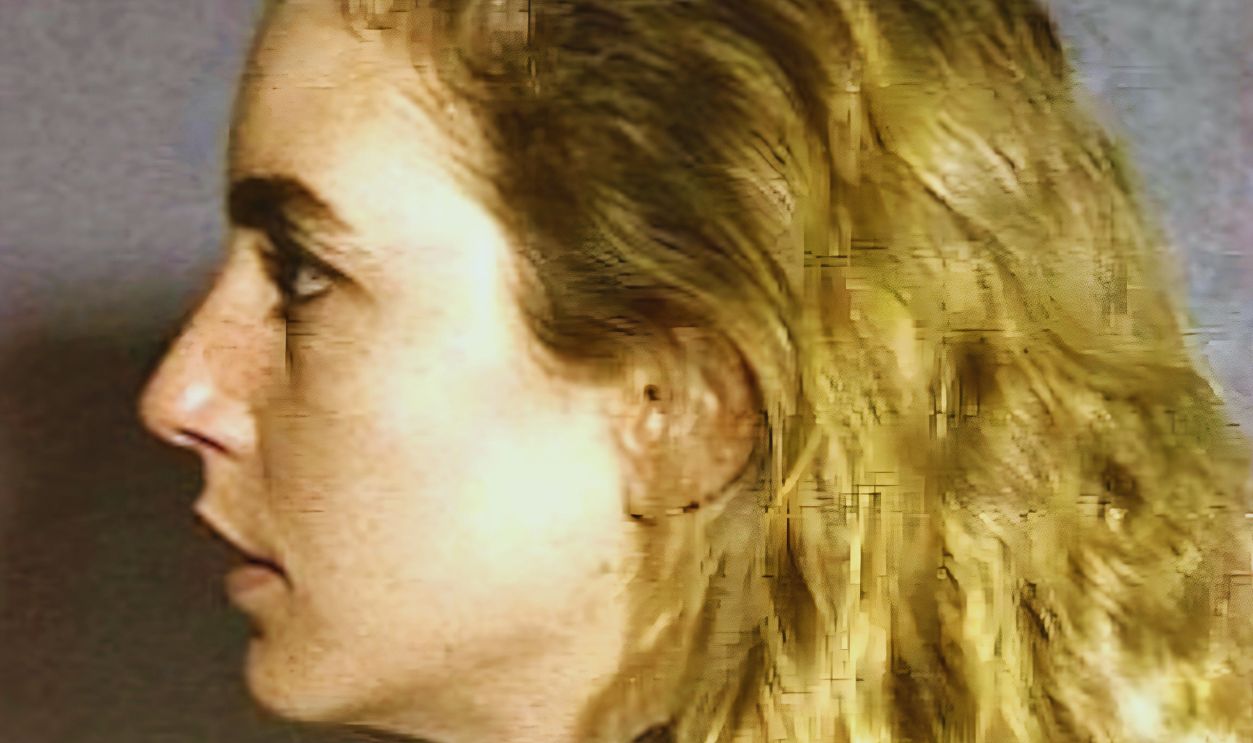Gettyimages - 1158571871, Dana Plato