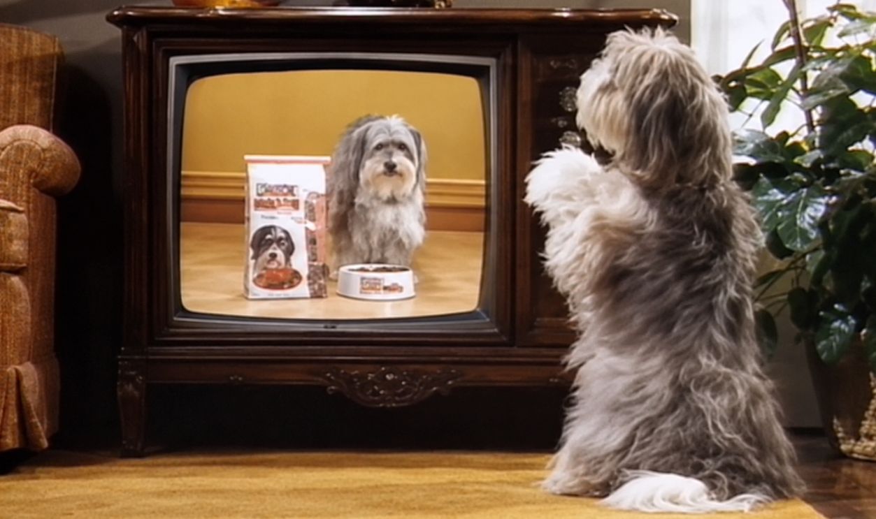Screenshot from Chuck Wagon Dog Food 'Wagon Chase' (1975)