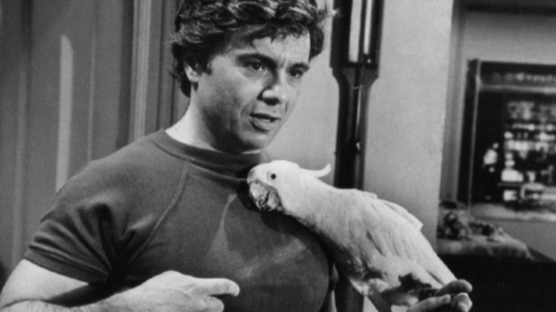 Photo of Robert Blake as Baretta and his cockatoo, Fred, from the television program Baretta.