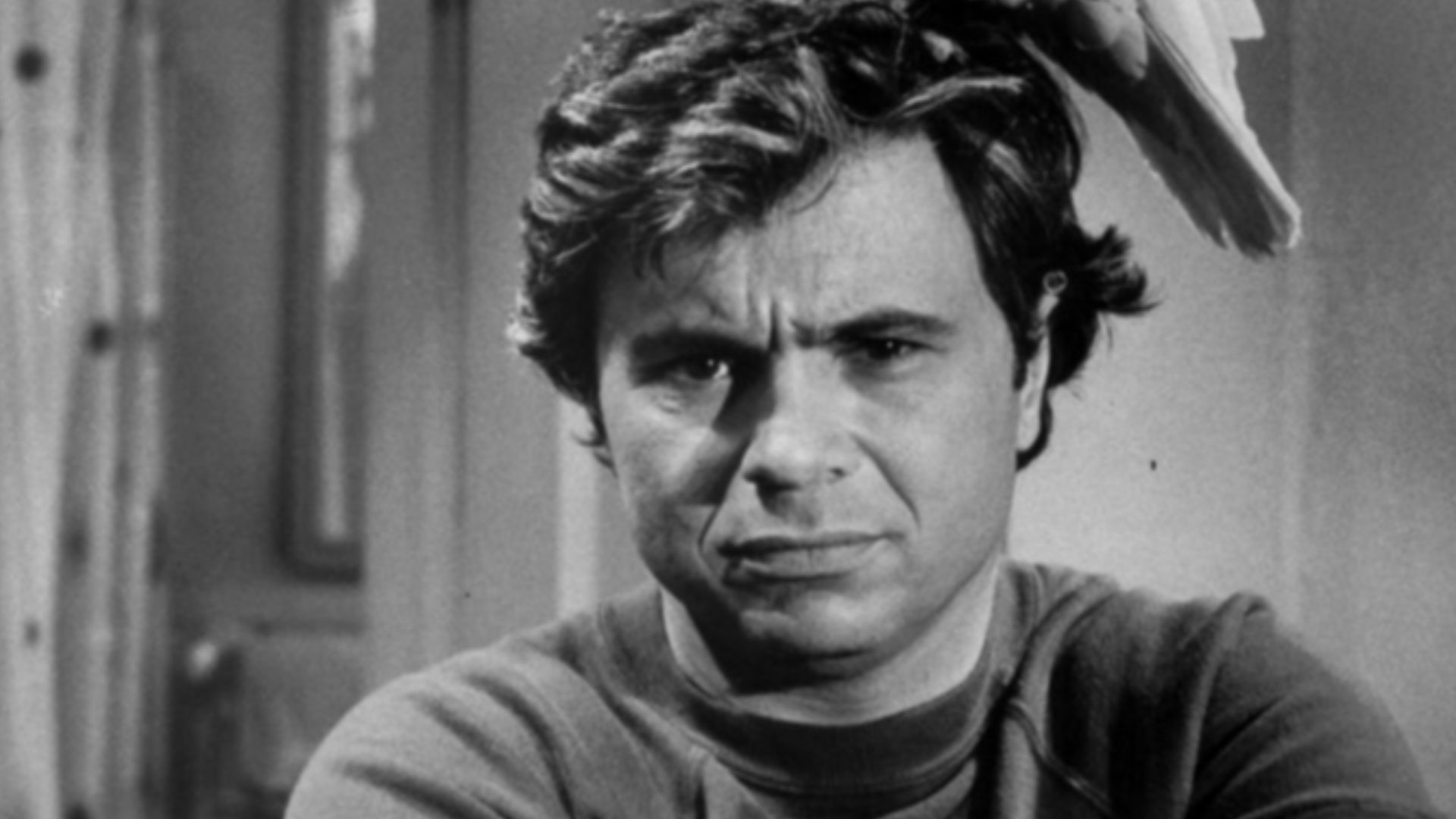 Photo of Robert Blake as Baretta and Fred from the television program Baretta.