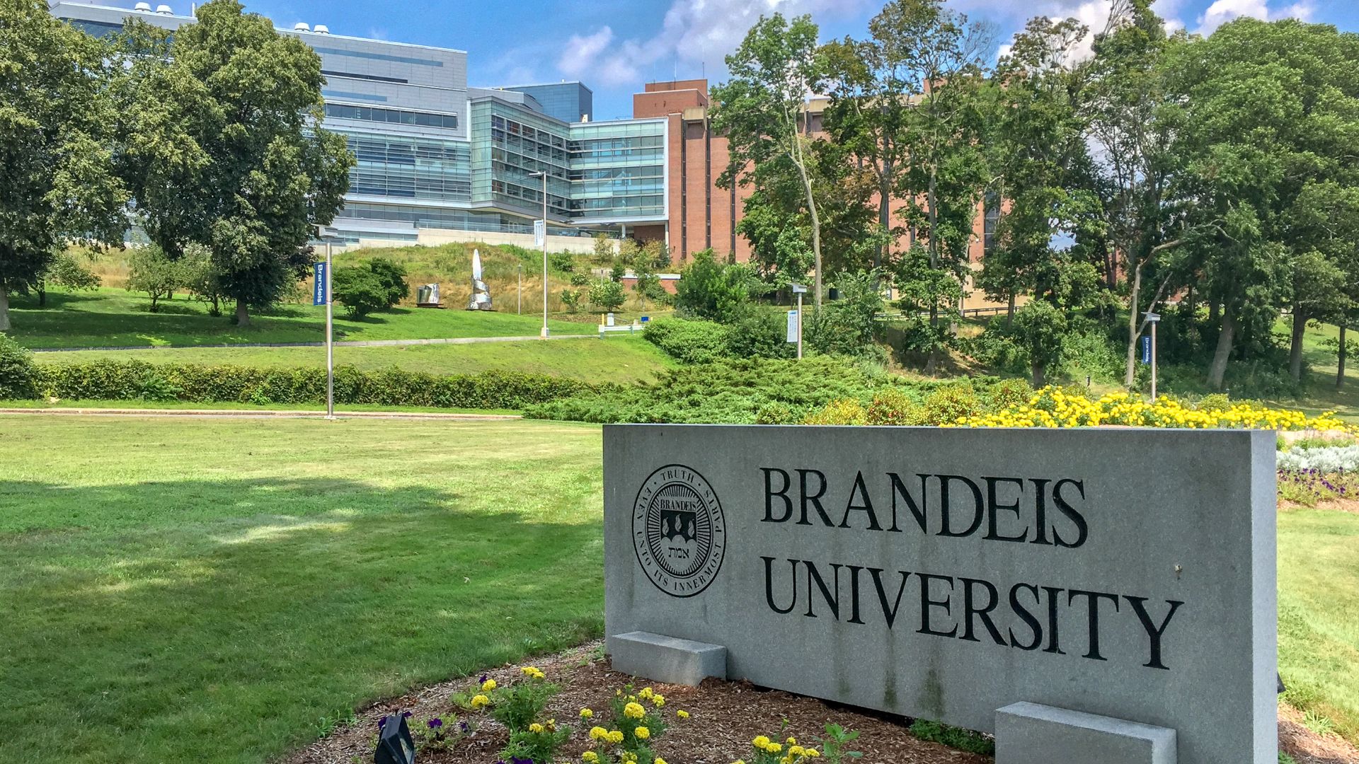 Brandeis University sign