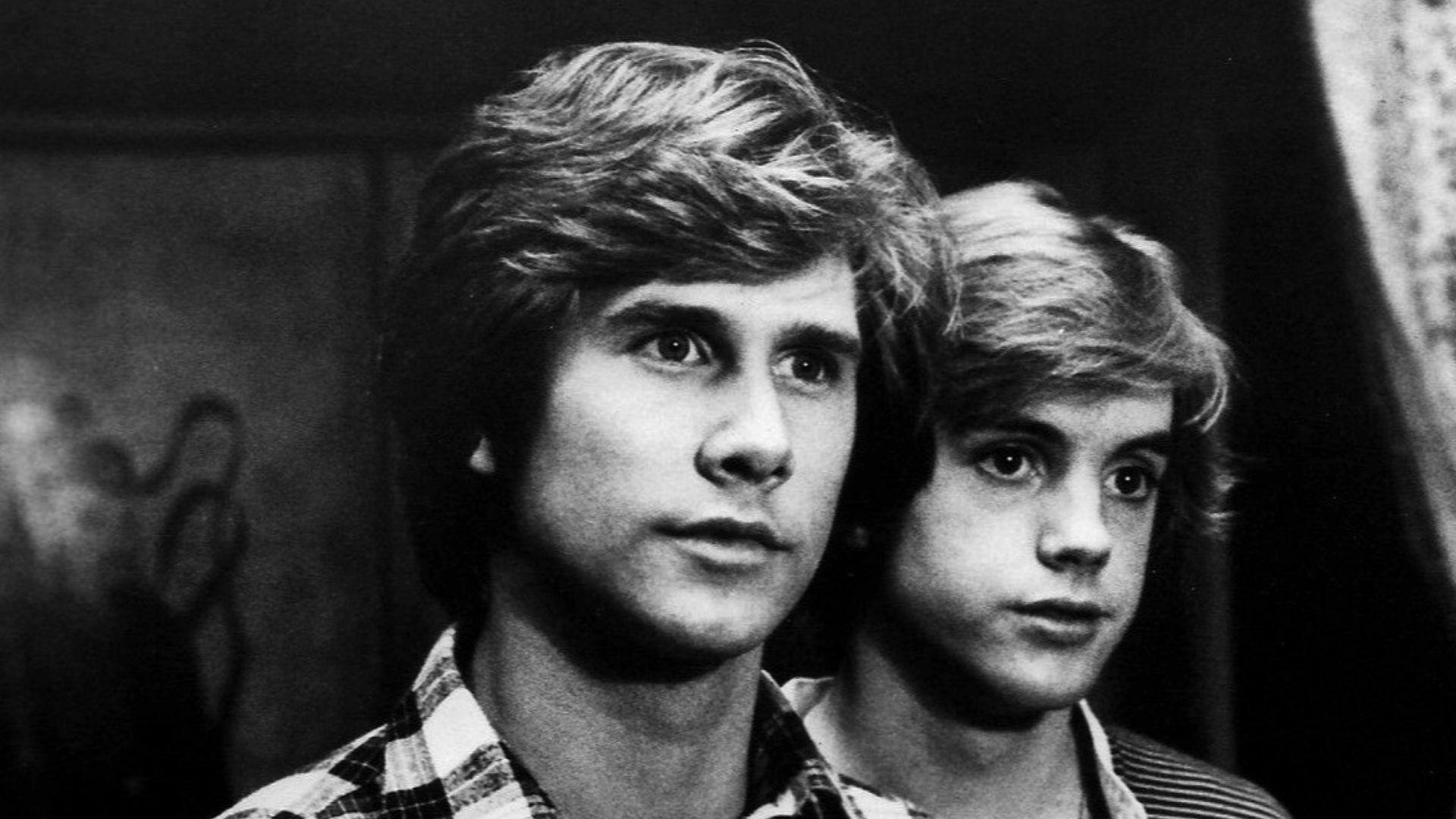 Photo of Parker Stevenson (left) and Shaun Cassidy (right) as the Hardy Boys from the television series.
