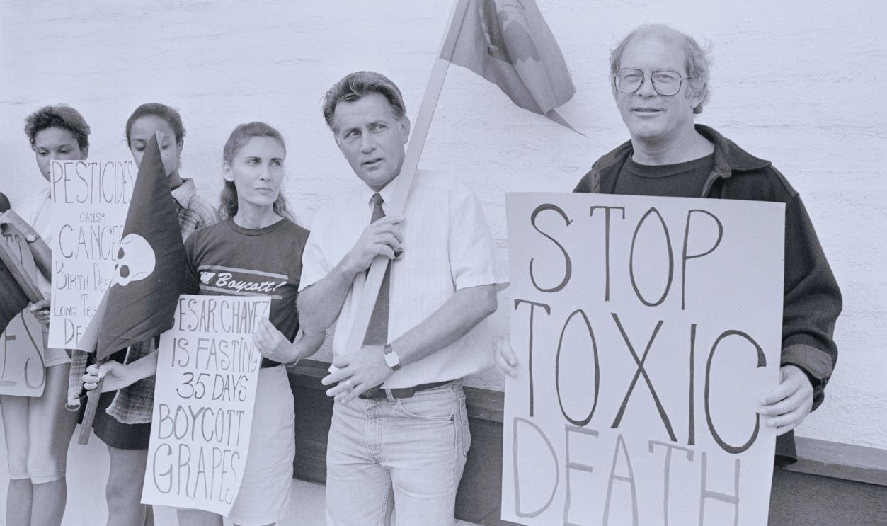 Gettyimages - 517791316, Martin Sheen, Max Gail, and Others