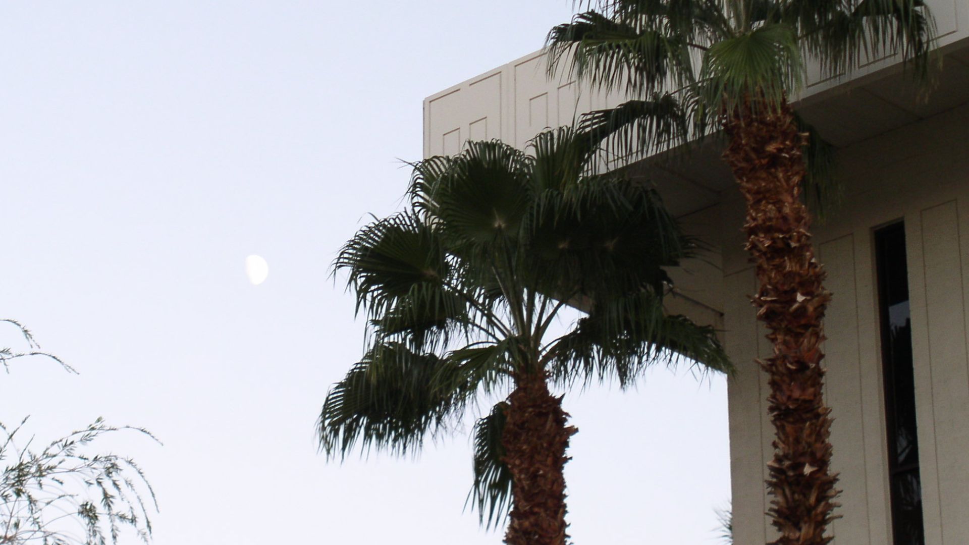 File:Betty ford clinic - Flickr - debaird™.jpg