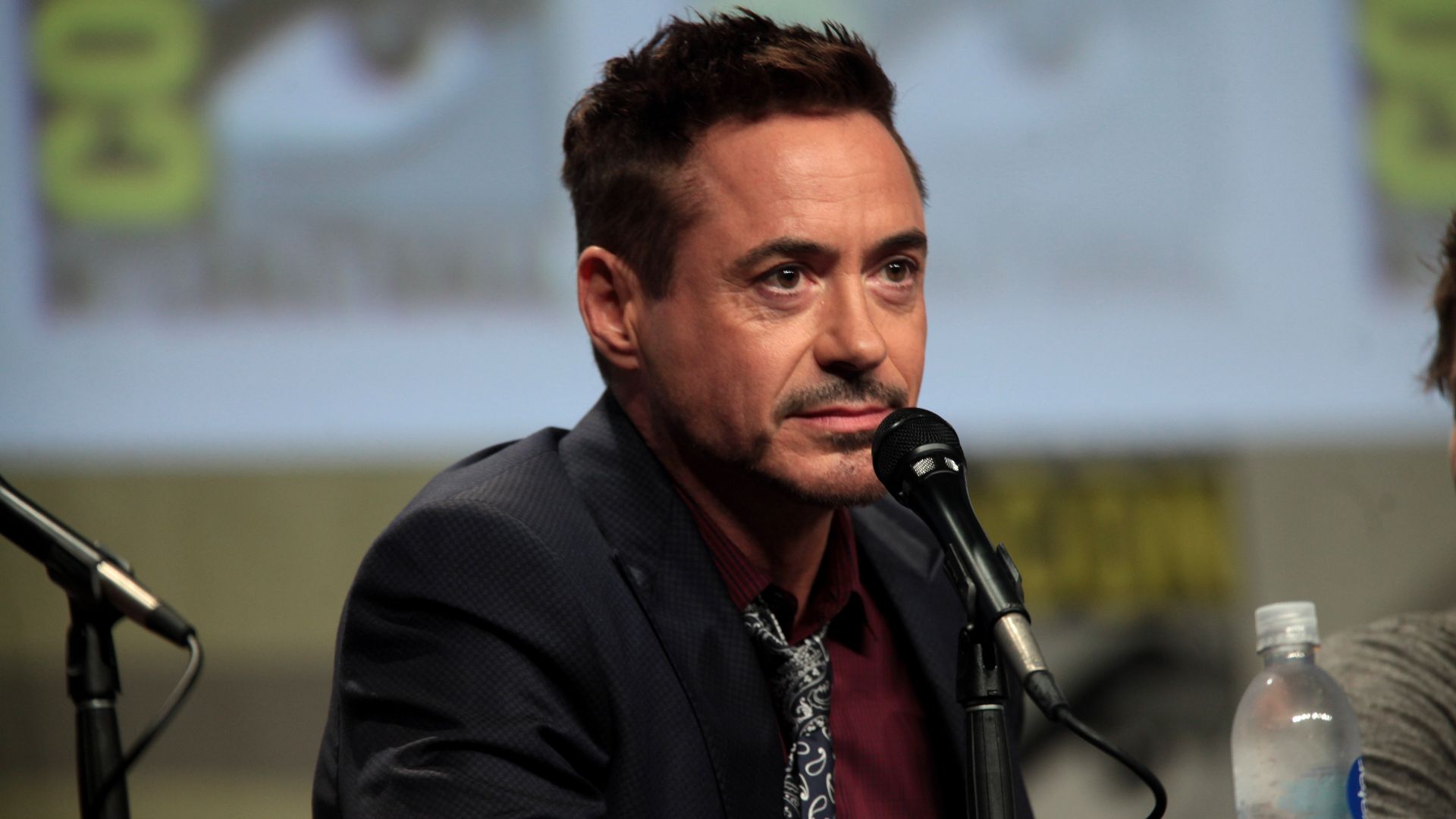 File:Robert Downey Jr 2014 Comic Con.jpg