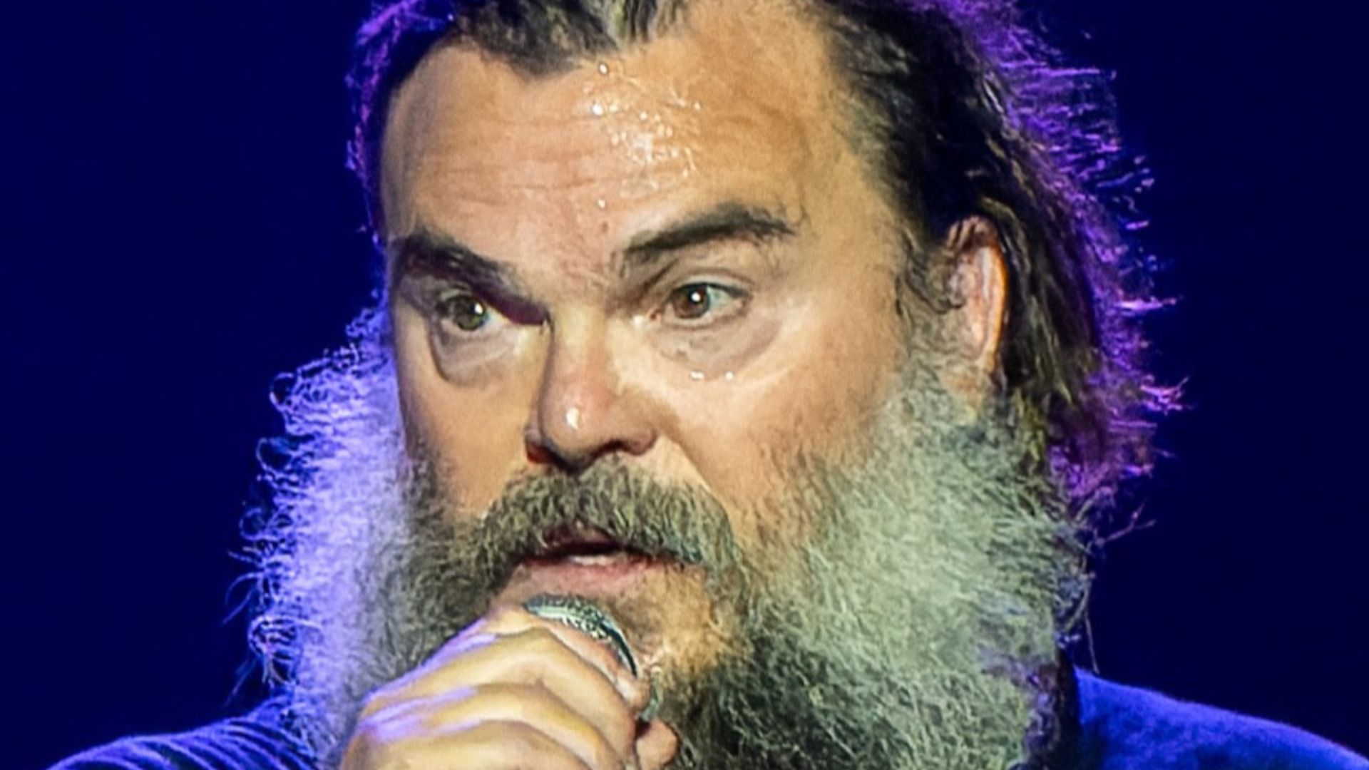 File:TenaciousDO2160623 (38 of 62) Jack Black.jpg