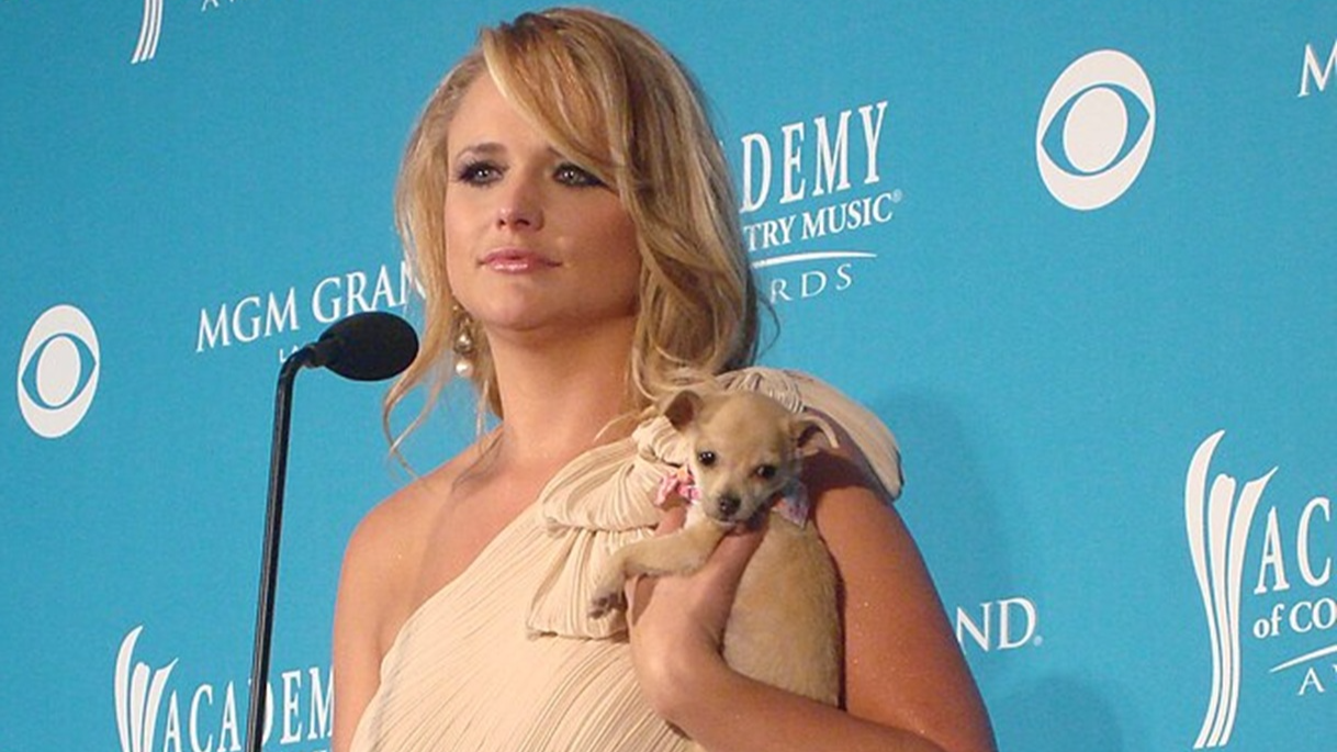 Miranda Lambert At 2010