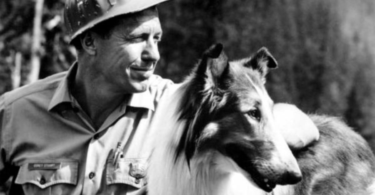 Robert Bray played forest ranger Corey Stewart with Lassie in the CBS television show Lassie.