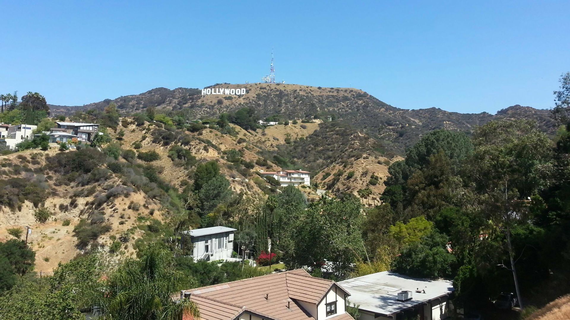 Hollywood Hills