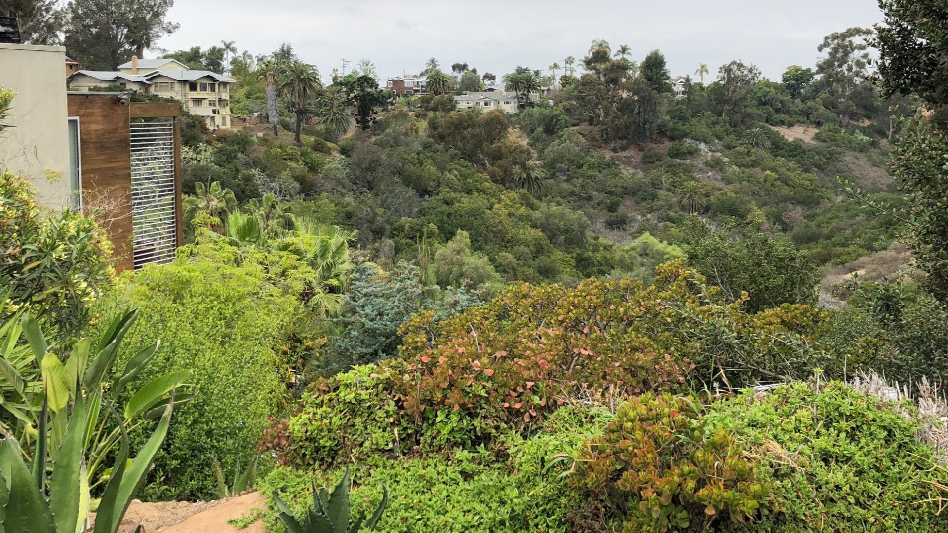 View to canyon from residential street in Mission Hills, San Diego