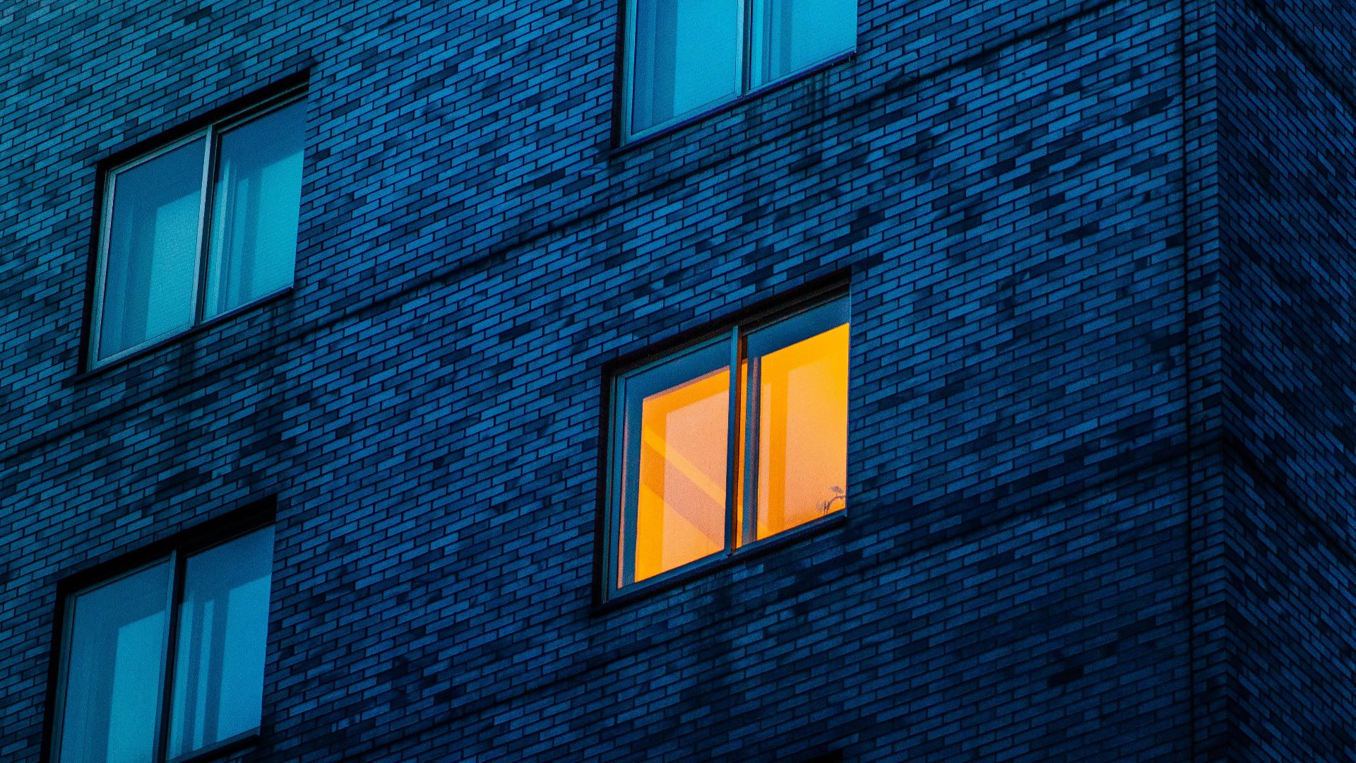 a tall building with windows lit up at night
