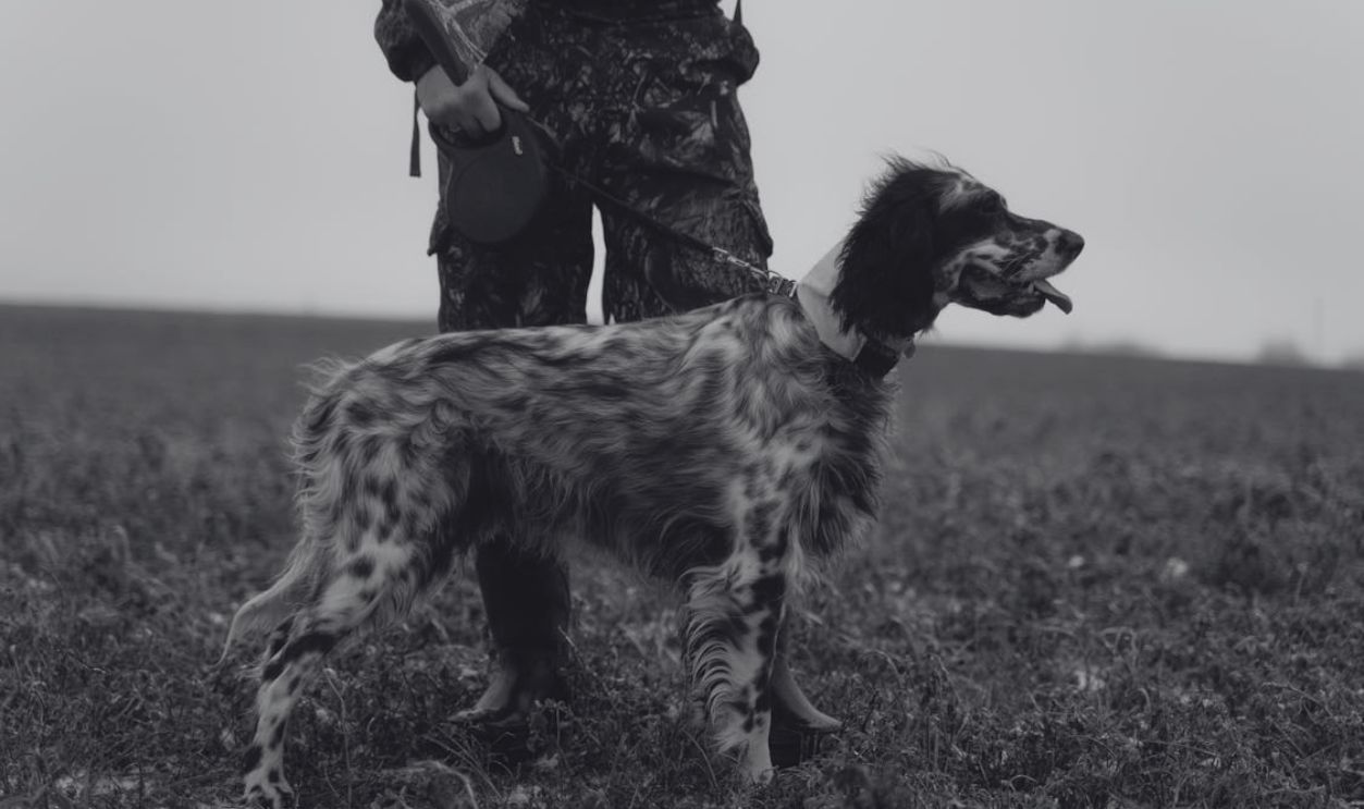 Person Wearing a Military Uniform Holding a Dog Leash