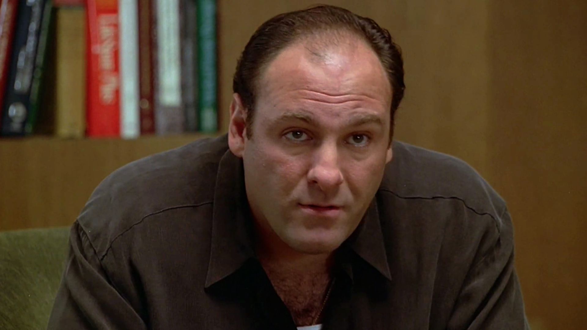 Tony Soprano during a therapy session in