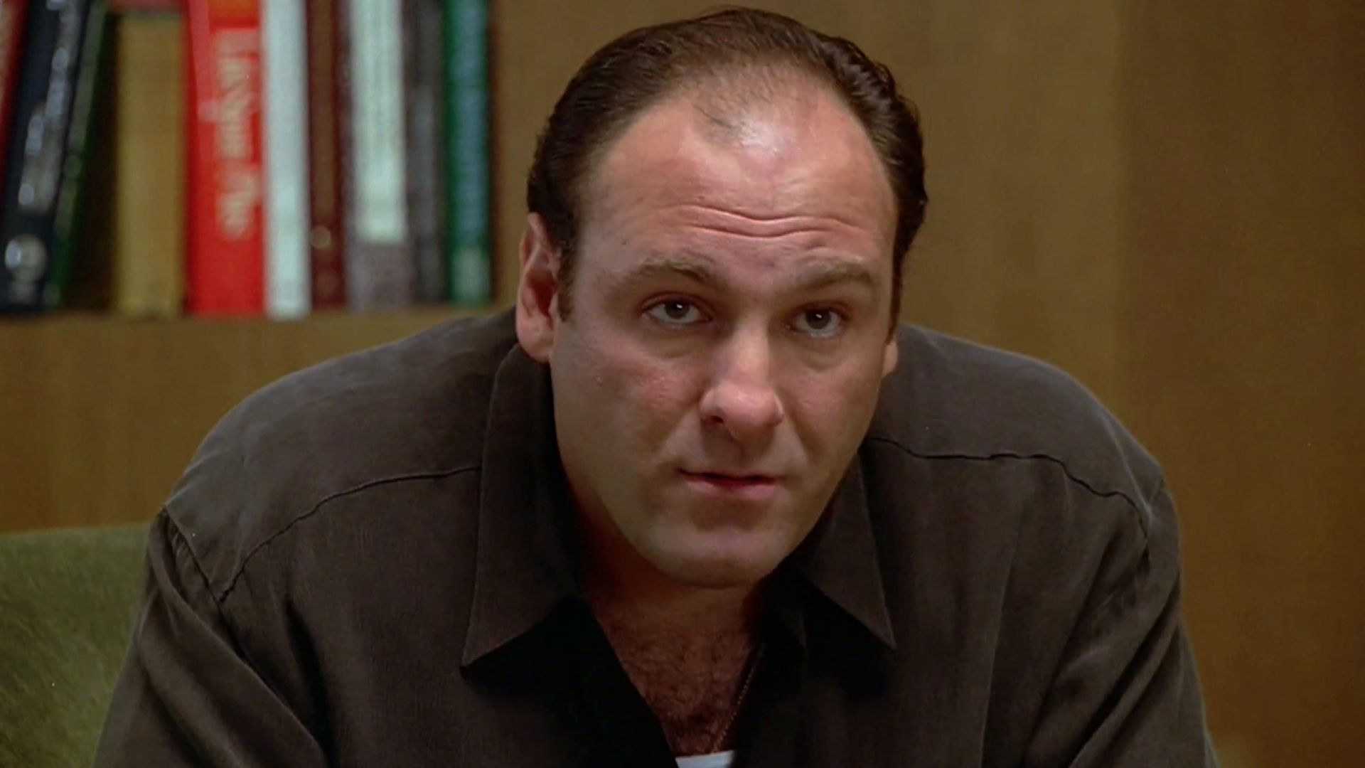 Tony Soprano during a therapy session in