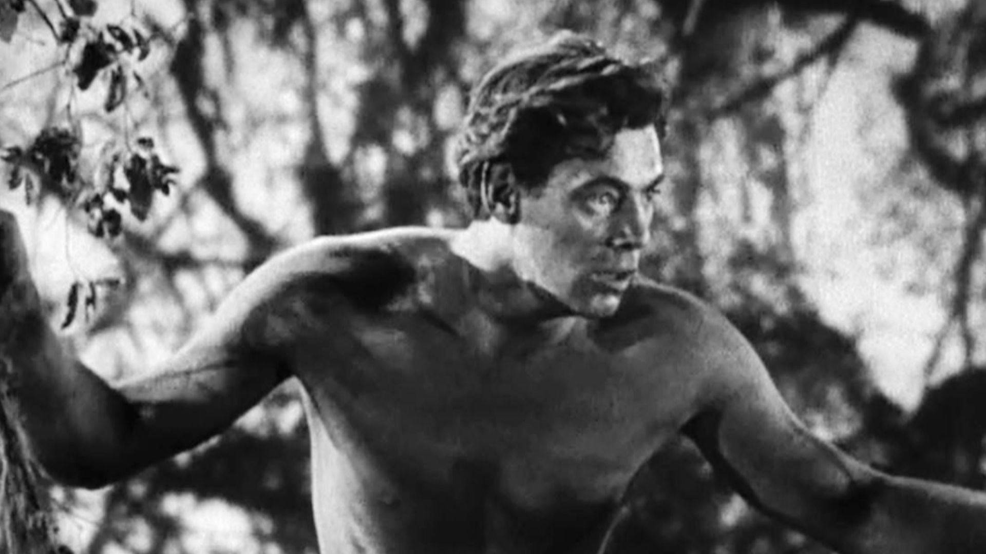 Low resolution screenshot from the public domain trailer for the film Tarzan the Ape Man (1932) with Johnny Weissmuller as Tarzan.