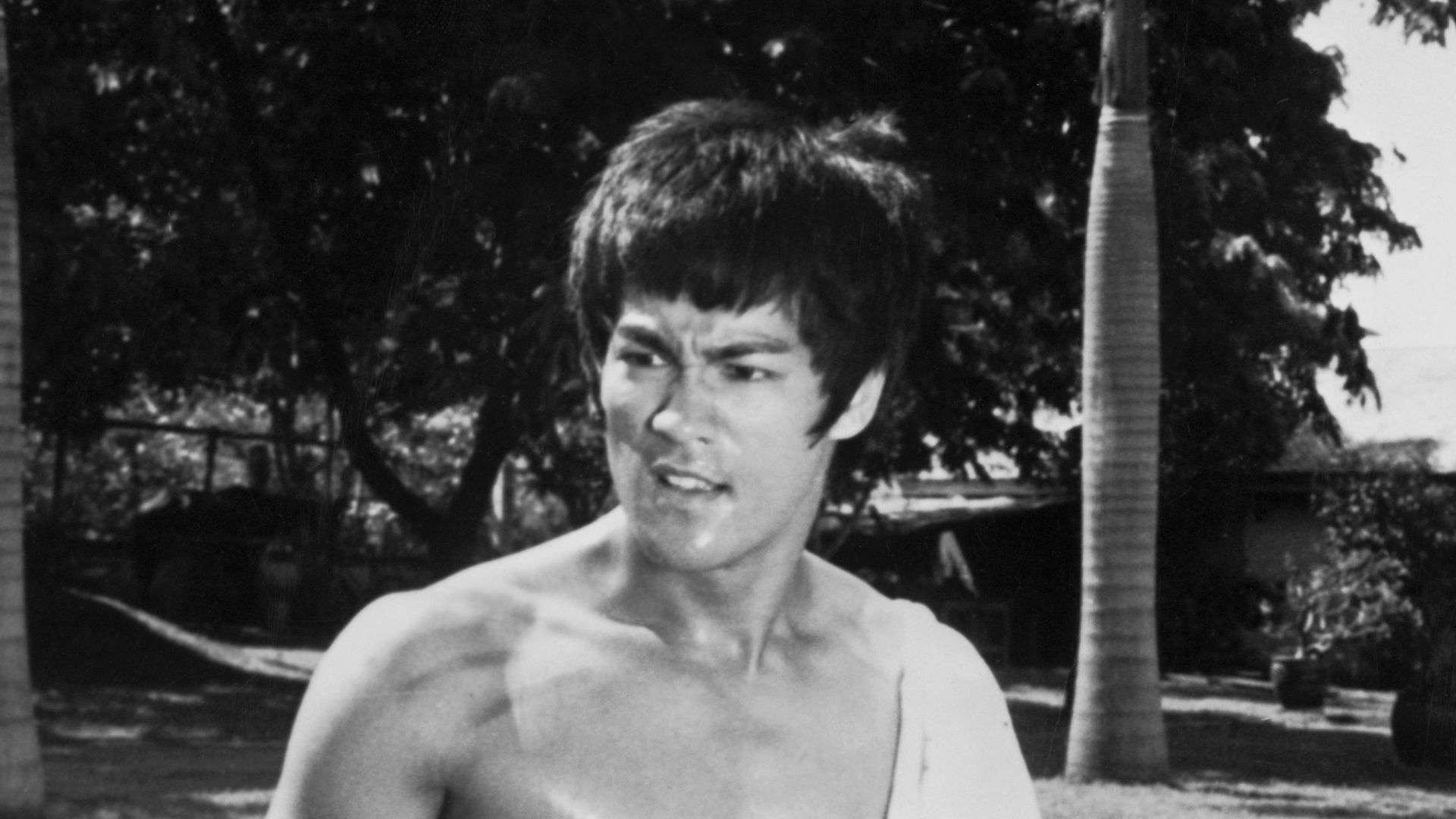 File:Bruce Lee as Chen Zhen.jpg