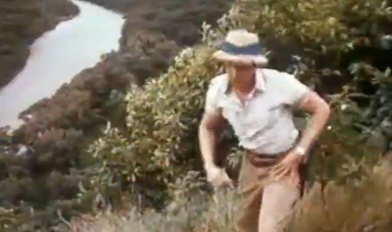 Screenshot from Bring 'Em Back Alive (1982–1983)