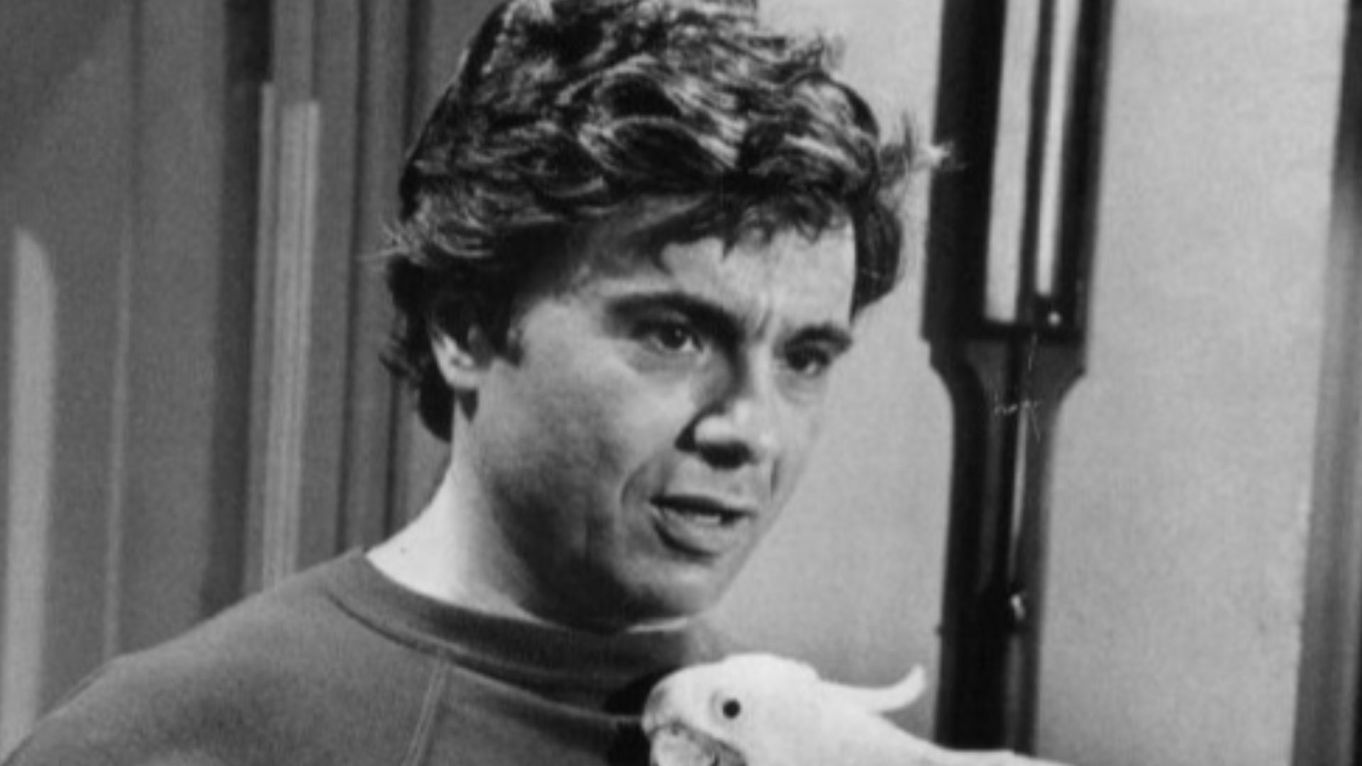 Photo of Robert Blake as Baretta and his cockatoo, Fred, from the television program Baretta.