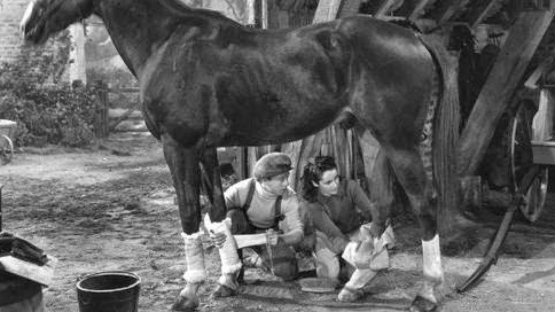 Promotional still from the 1944 film National Velvet