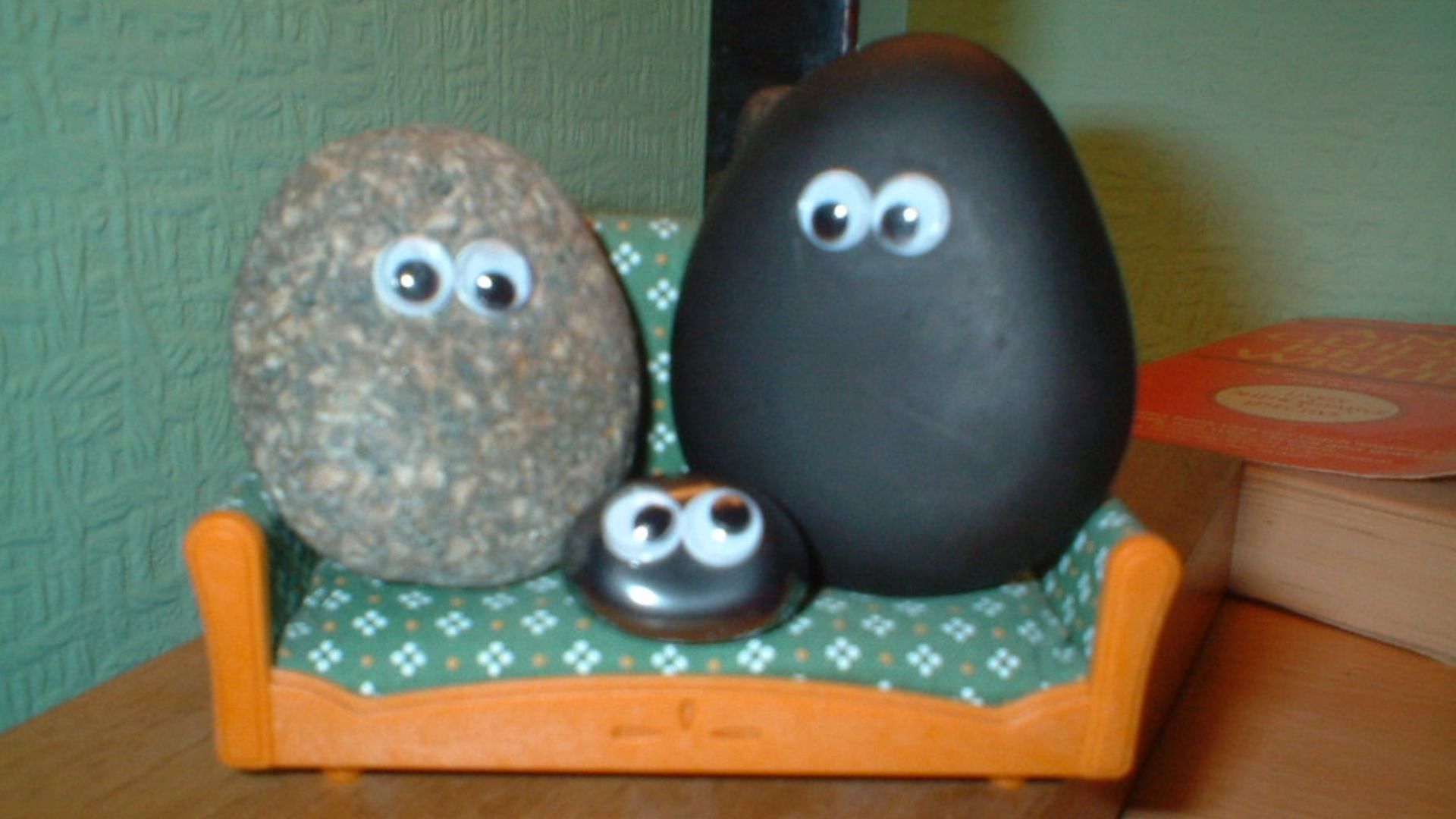 Image of imitation pet rocks. The original rocks had no eyes.