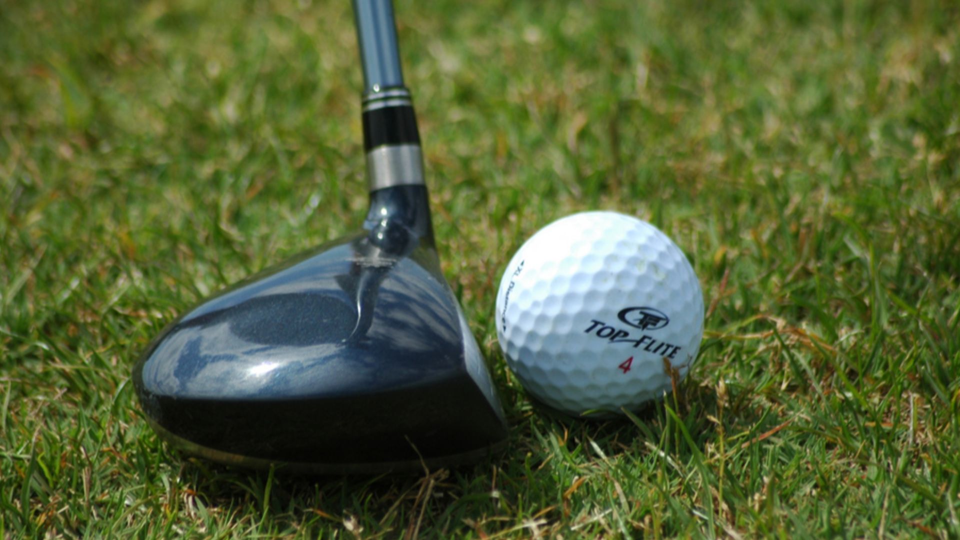 Fairway wood positioned near golf ball