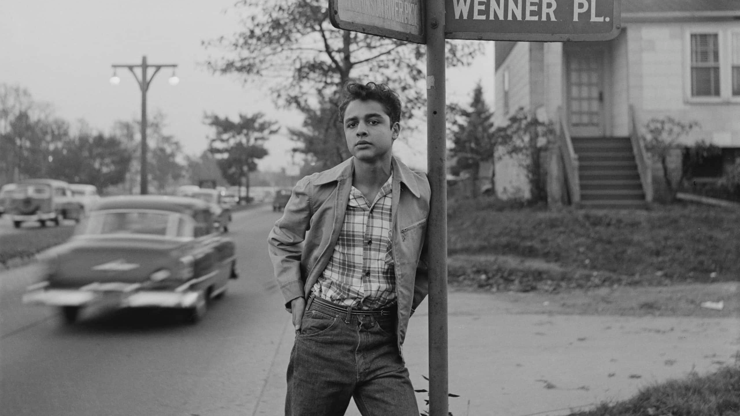 Sal Mineo facts