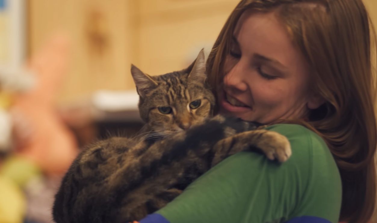 Screenshot from Locket (2017)