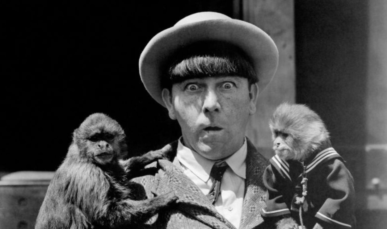the Three Stooges
