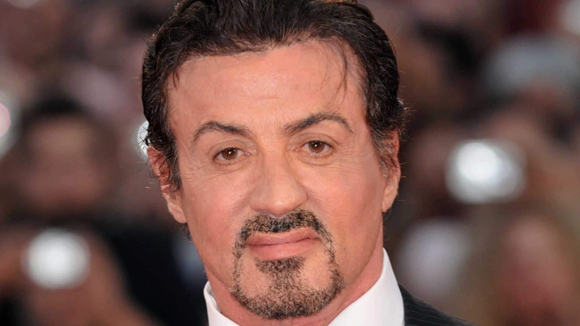 66ème Festival du Cinéma de Venise (Mostra), 11ème jour (12/09/2009)
Tapis rouge pour la soirée de cloture du Festival de Venise 2009

Sylvester Stallone