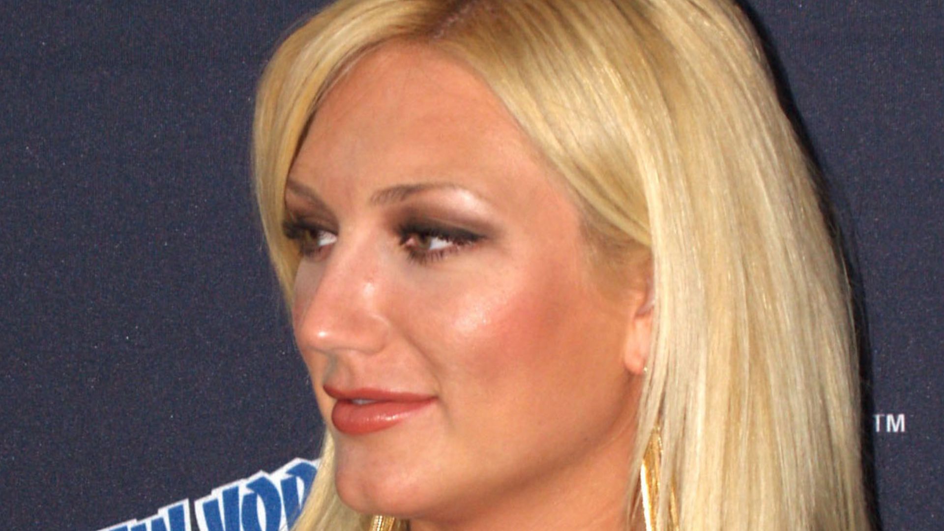 Actress/singer Brooke Hogan during a press event for the Cartoon Network TV series China, IL (on which Hogan has done voice work) and Rick and Morty at the Jacob K. Javits Convention Center in Manhattan, on Saturday October 12, 2013, Day 3 of the 2013 New