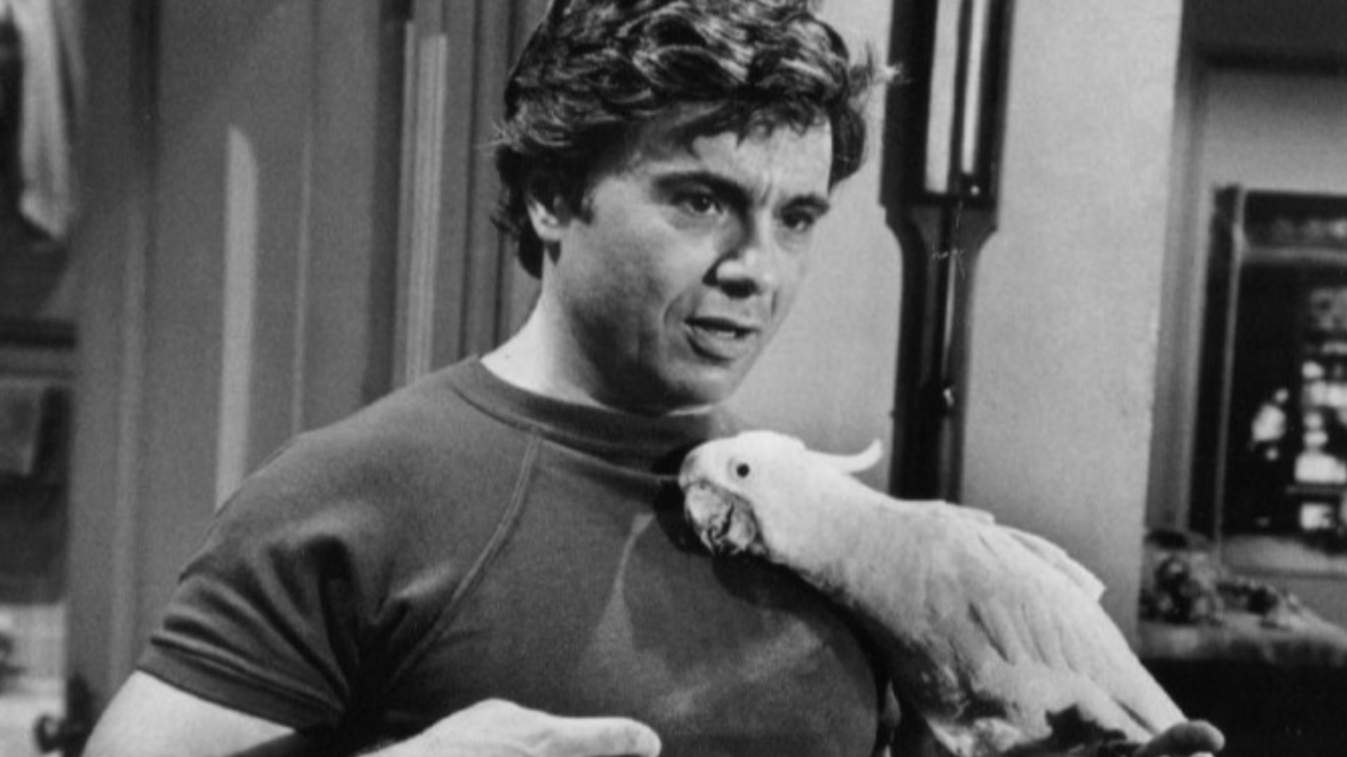 Photo of Robert Blake as Baretta and his cockatoo, Fred, from the television program Baretta.
