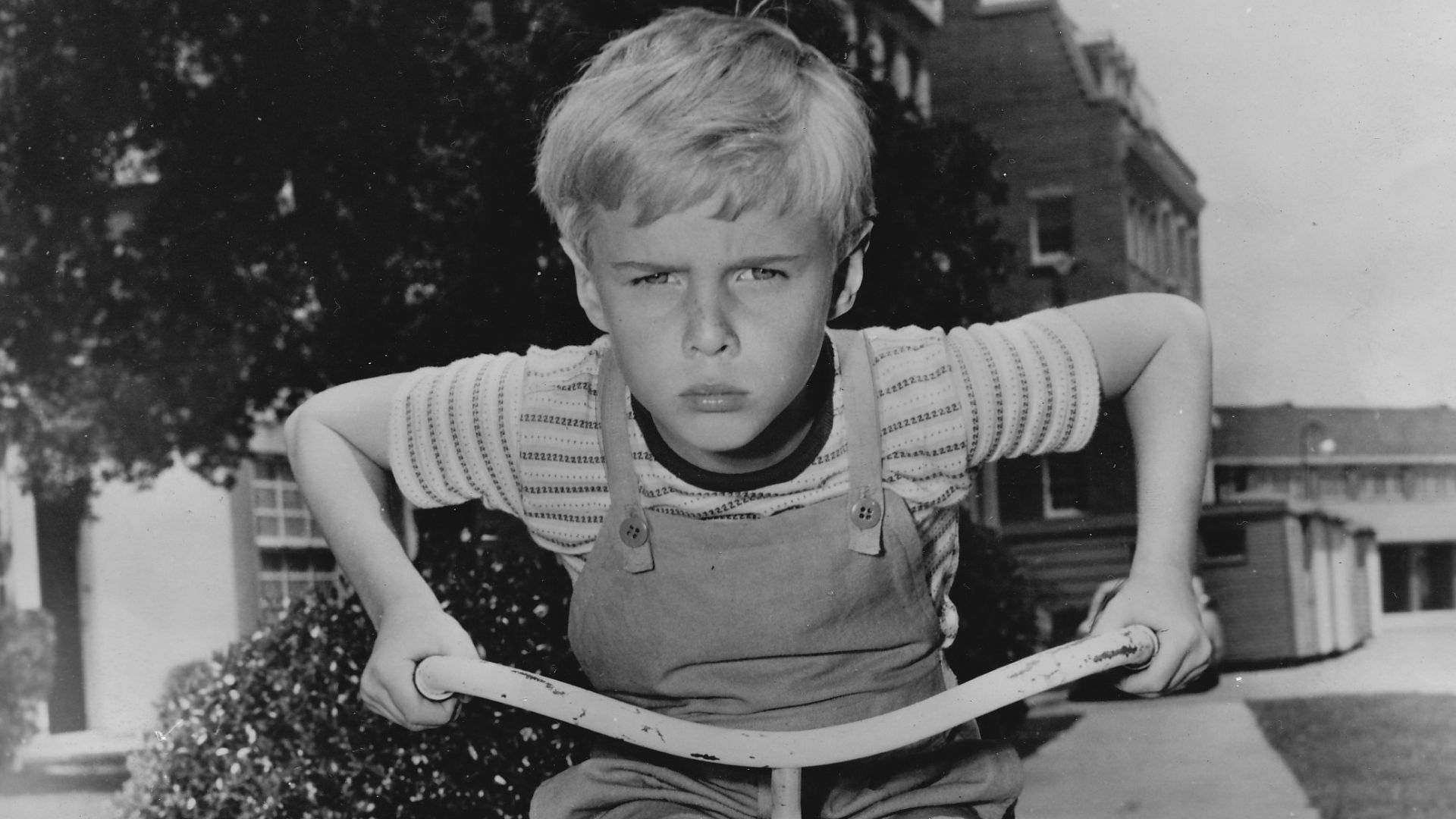Publicity photo of child actor Jay North promoting his starring role on the CBS television comedy series Dennis the Menace.