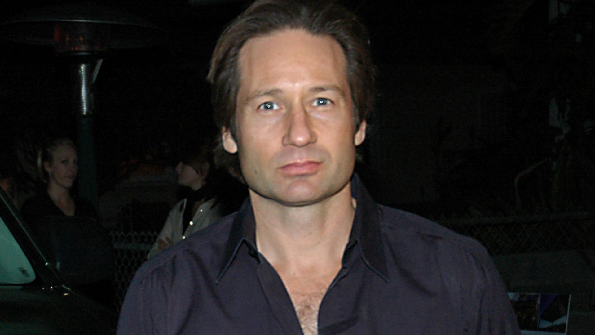 American actor David Duchovny at the Ford and project7ten Sustainable/Green Home opening party. Photo released by the Ford Motor Company.