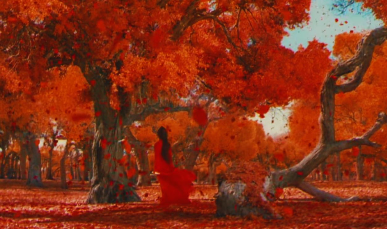 Screenshot from Hero (2002) 