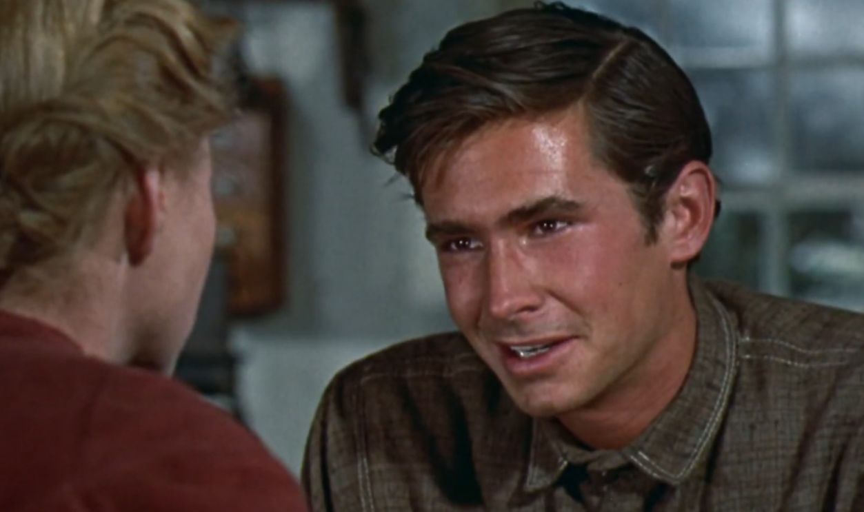 Screenshot from Friendly Persuasion (1956)