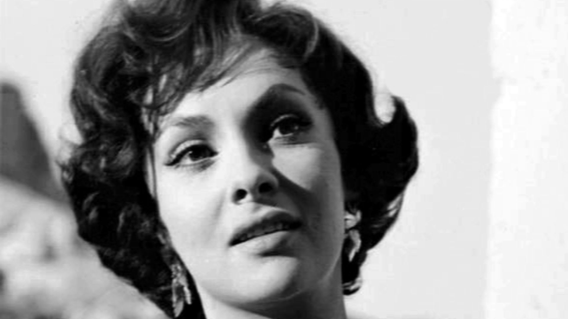 Gina Lollobrigida