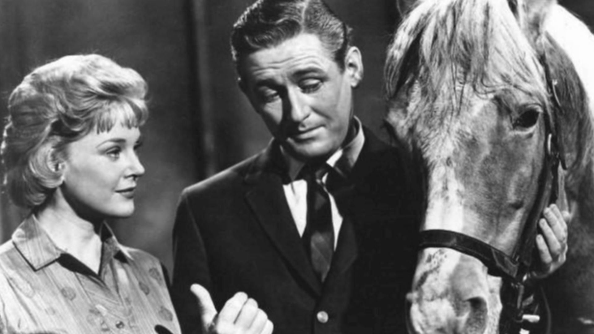 Photo of the main cast of the television program Mister Ed.  From left-Connie Hines as Carole Post, Alan Young as Wilbur Post.