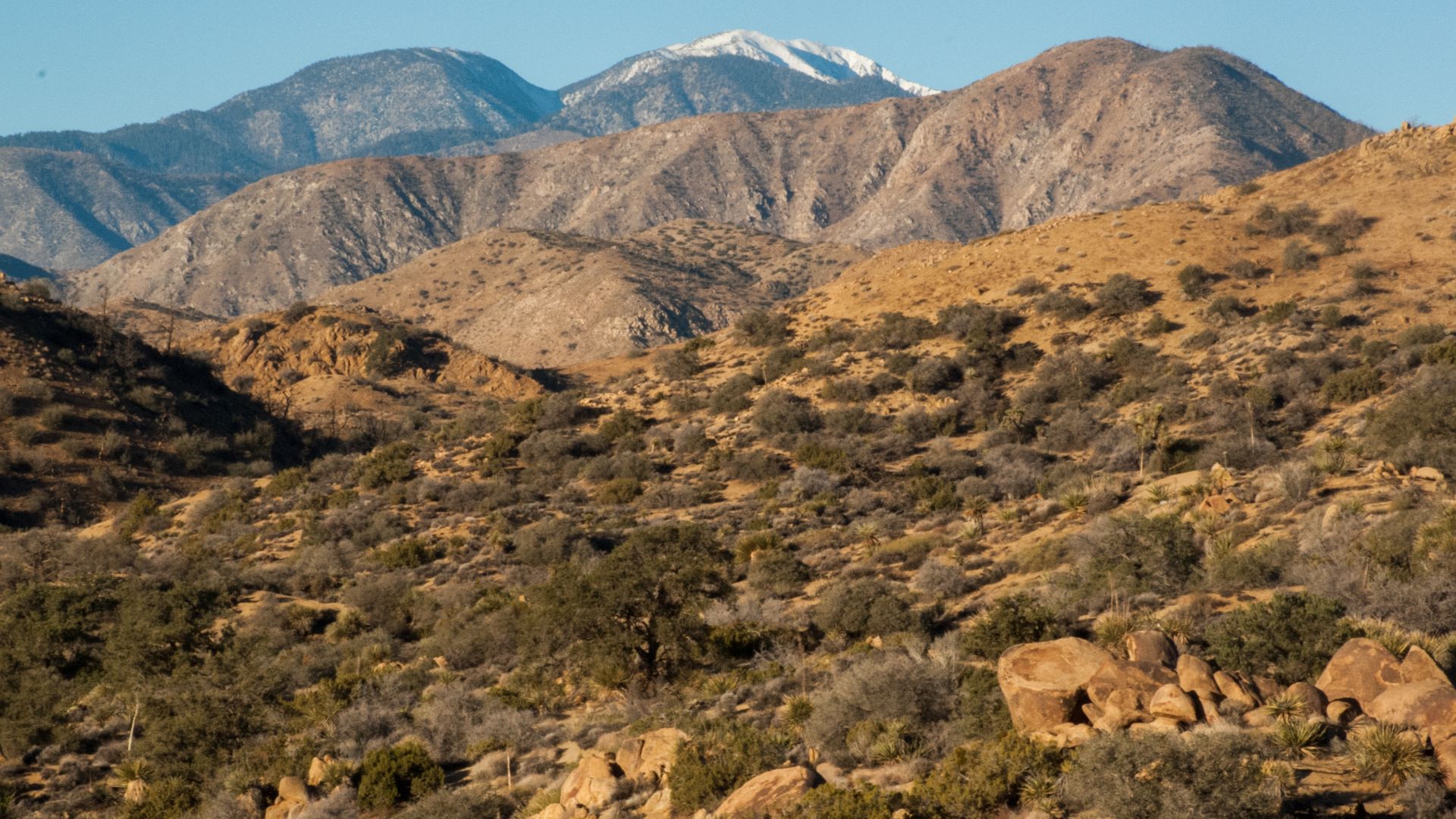 Located just north of Yucca Valley and Big Morongo, the San Gorgonio is an easily accessible Wilderness. This Wilderness Area displays the full ecosystem transition from desert to mountain, joshua tree to pinon pine, and attracts photographers, hunters, a