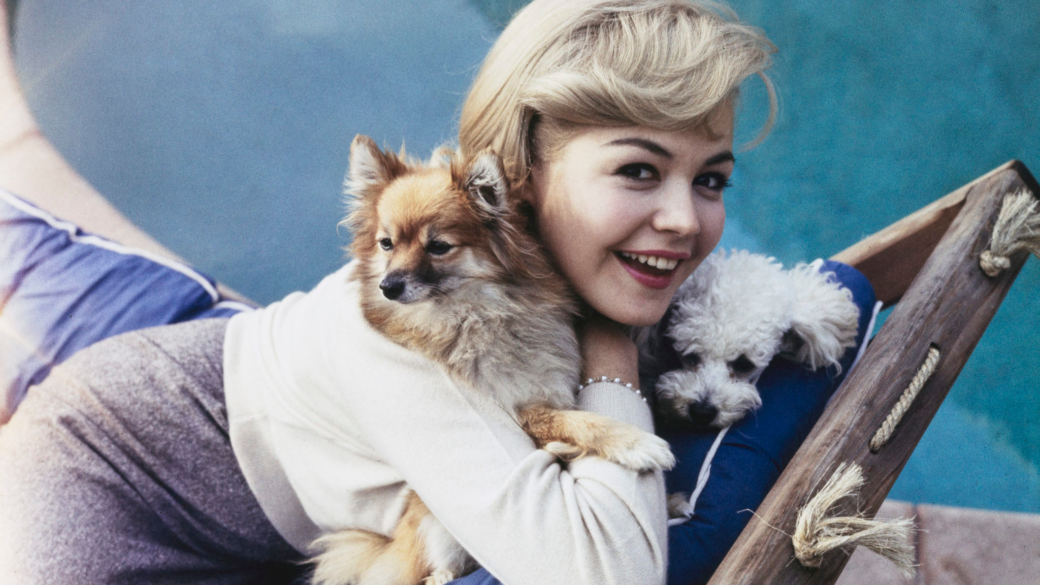 American actress Sandra Dee (1942 - 2005) with a small dog, circa 1960.