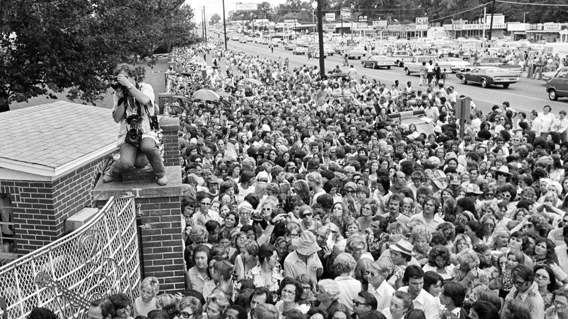 Hundreds gather outside Graceland in Memphis, to see Elvis Presley's body.