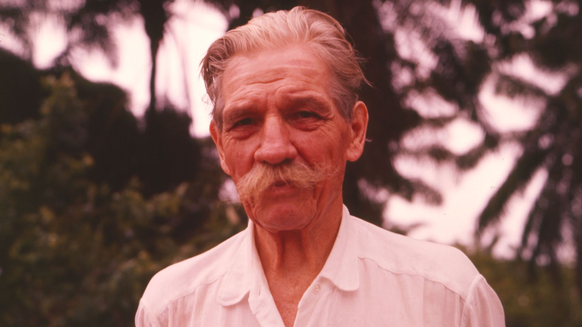 Portrait of Albert Schweitzer from the photographic archive of ETH Zürich.