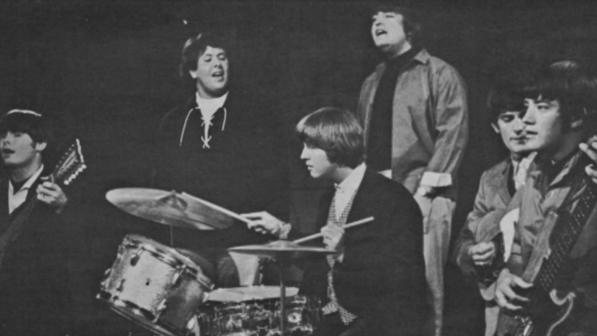 The Turtles in 1966