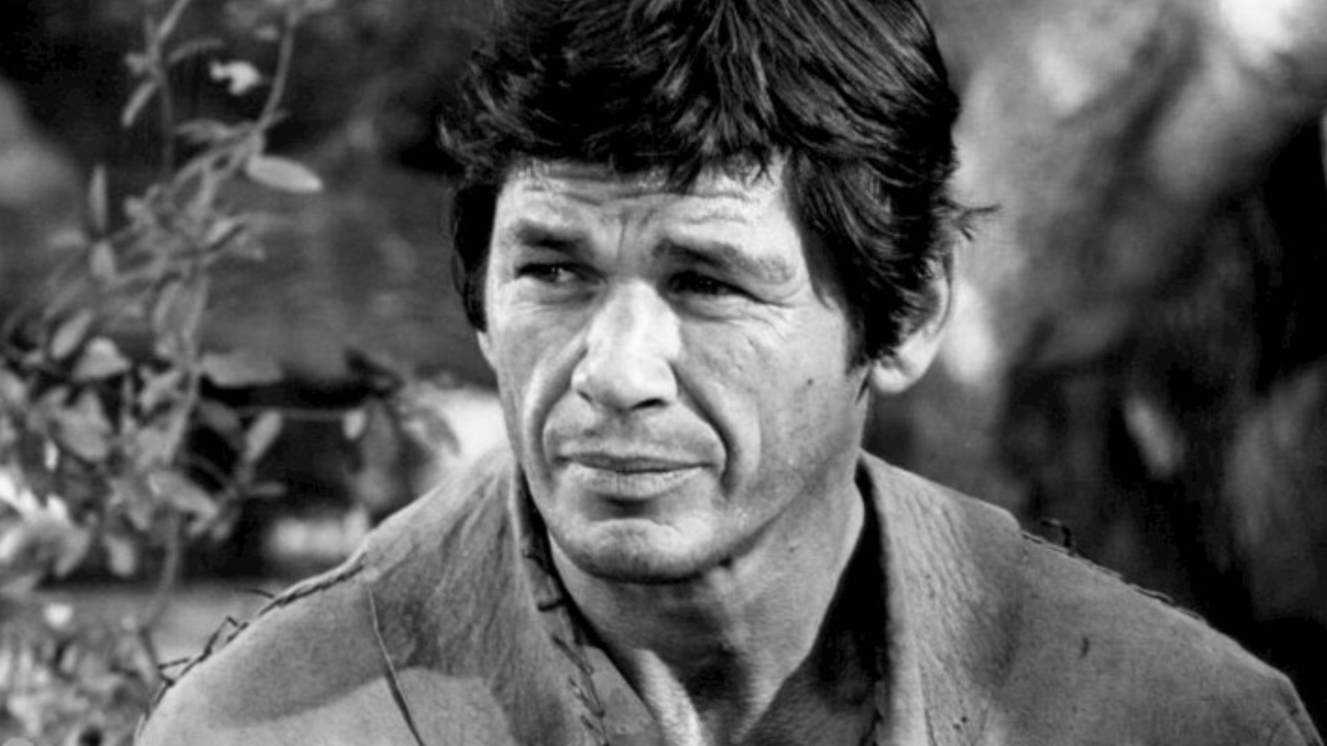 Photo of Charles Bronson as Linc, the wagonmaster, from the television program The Travels of Jaimie McPheeters.