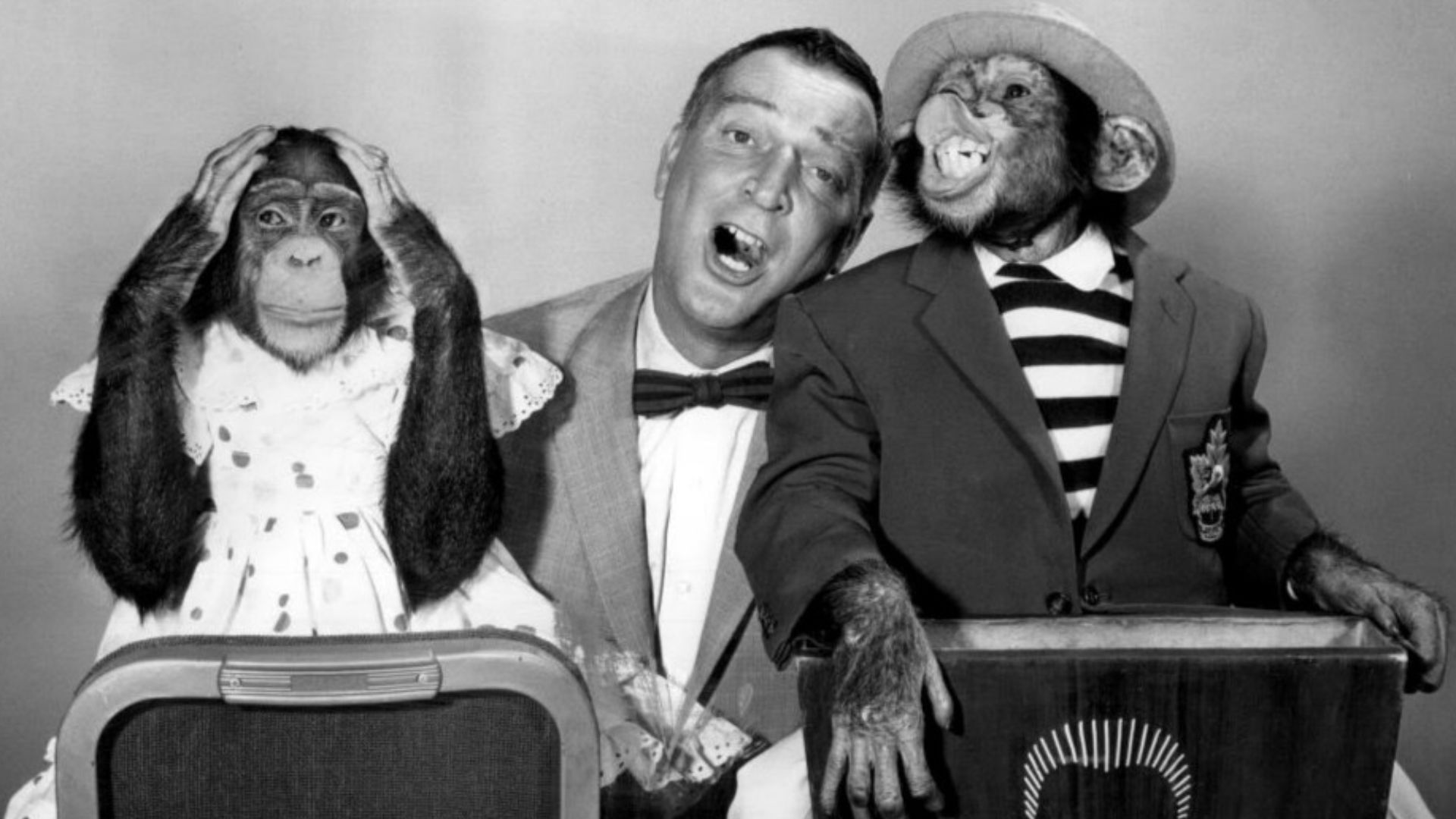 Publicity photo of Garry Moore with his guests, the Marquis Chimps, from  The Garry Moore Show.