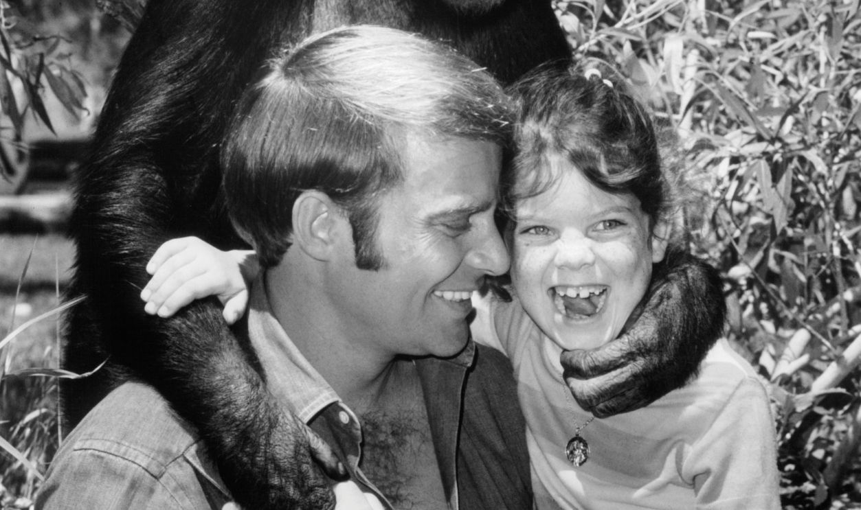 Ross Hagen And Erin Moran In 'Daktari' Judy the Chimp helps Ross Hagen and Erin Moran get acquainted with their surroundings in a scene from the television series 'Daktari', 1969.