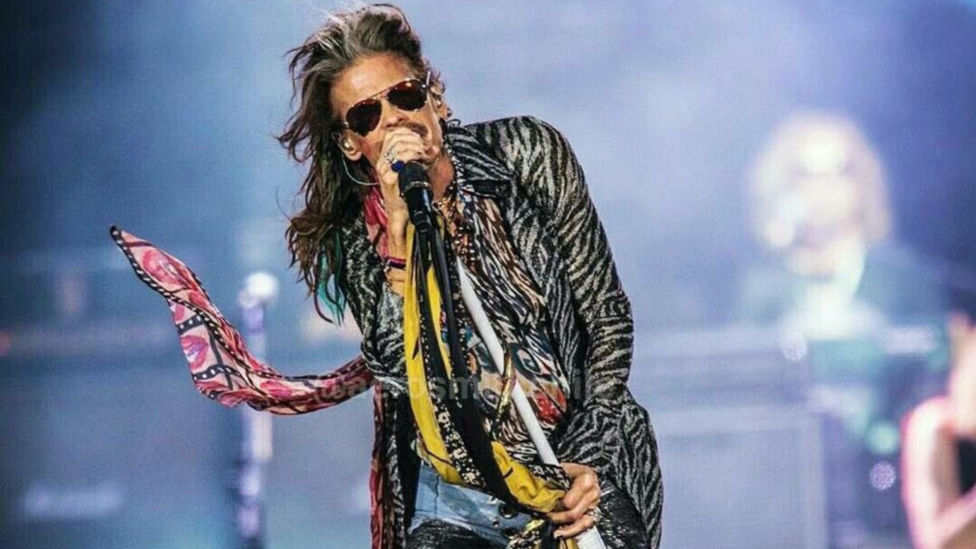 Steven Tyler en concierto.
