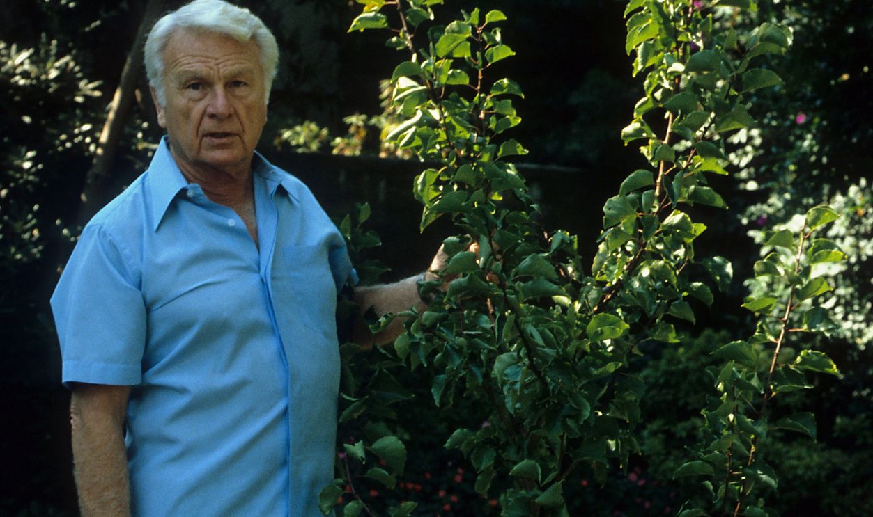 Actor Eddie Albert poses for a portrait in circa 1985 in Los Angeles, California