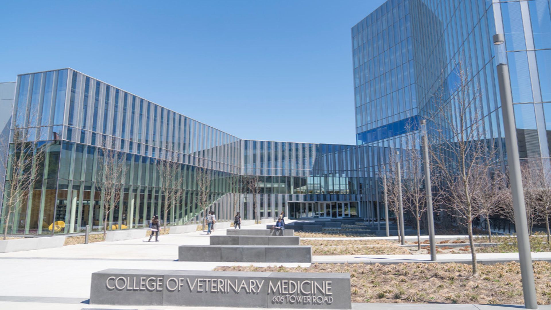 View facing east from Tower Road showing Lefty's Plaza, CVM Center, Veterinary Research Tower with College sign in foreground