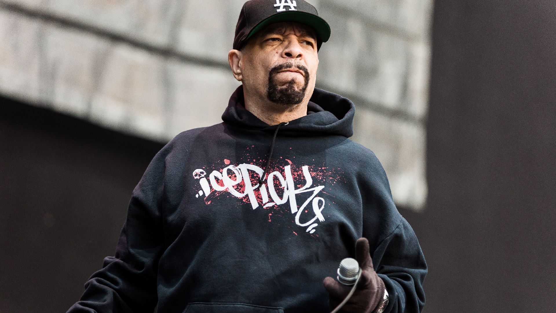 The US crossover band Body Count at the With Full Force Summer Open Air 2018 in Ferropolis, Germany.