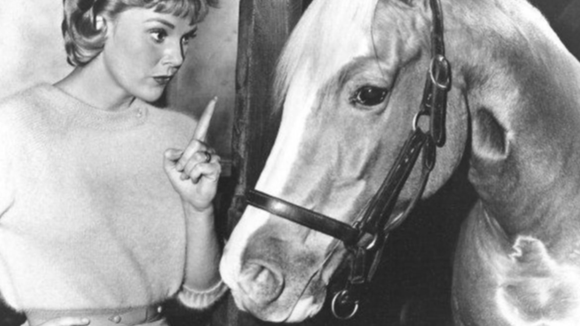 Photo of Connie Hines as Carole Post and Mister Ed from the television program Mister Ed.